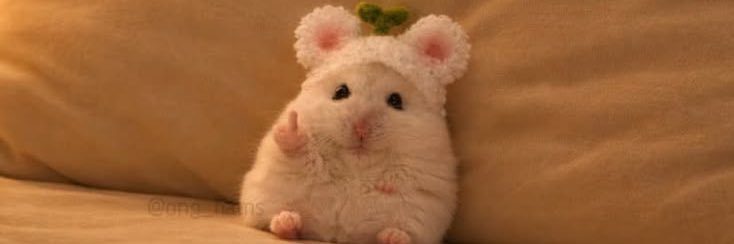 上靴休んで欠席 banner