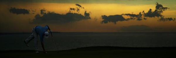 mudddie Profile Banner