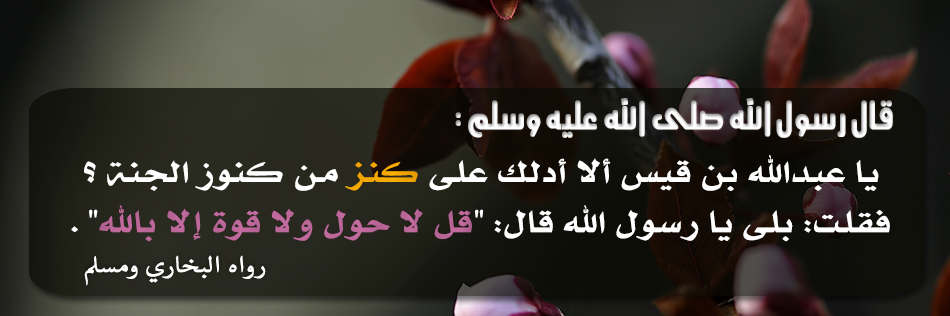 علوات يوسف أبو عبيدة banner