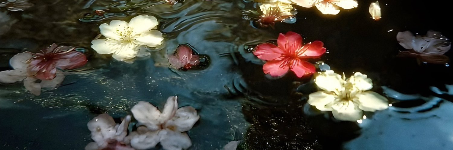 • 𝔻𝕚𝕧𝕚𝕟𝕖 𝔼𝕔𝕙𝕠 • banner