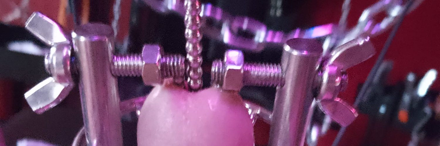 slave Vincetta banner