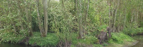 JennyHart2001 Profile Banner