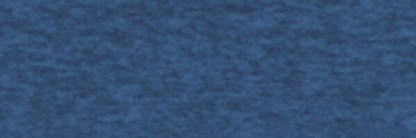 whichbooktoread Profile Banner