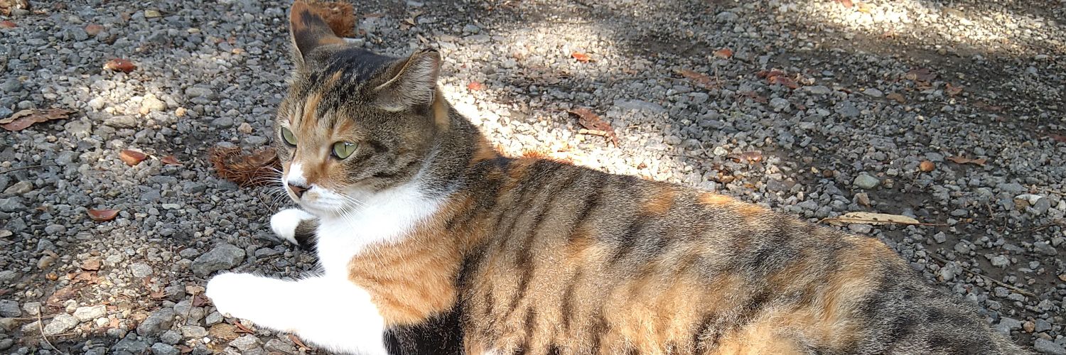 りんご🍏🍎🐺 banner