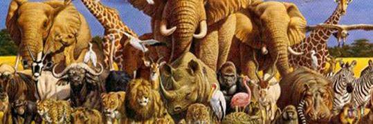 cathy karr Ⓥ🐘♎ banner