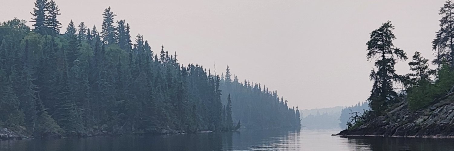 Kam Pavlu banner