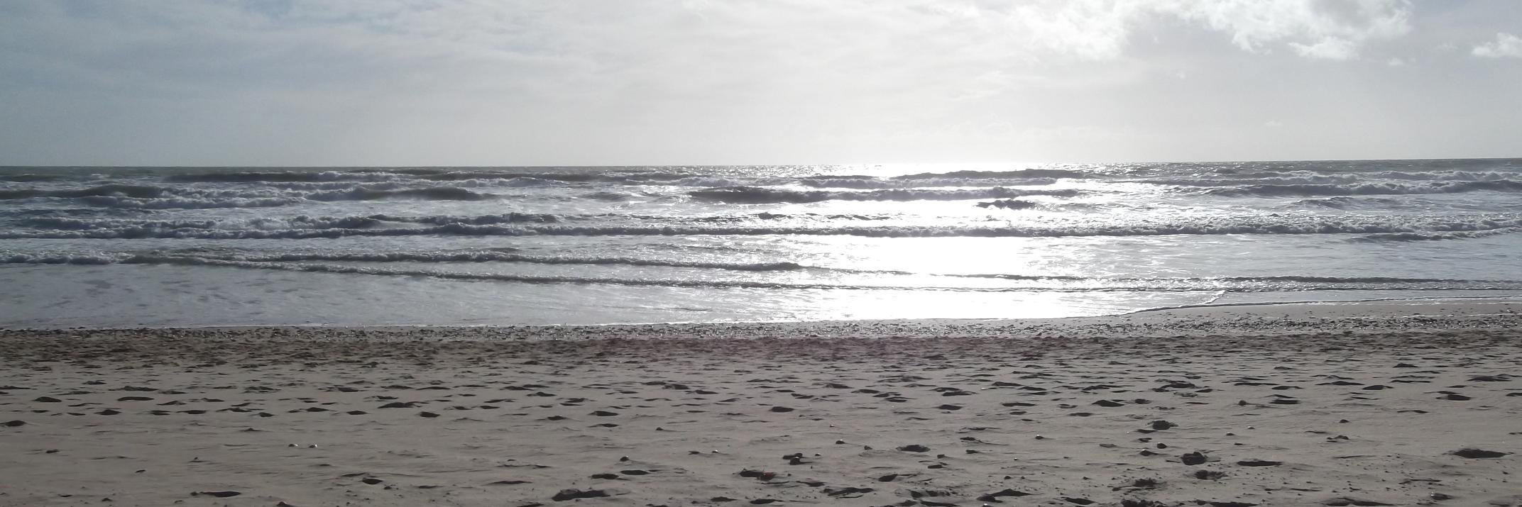 jandtxu's profile banner image