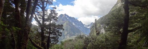 pixelastic Profile Banner