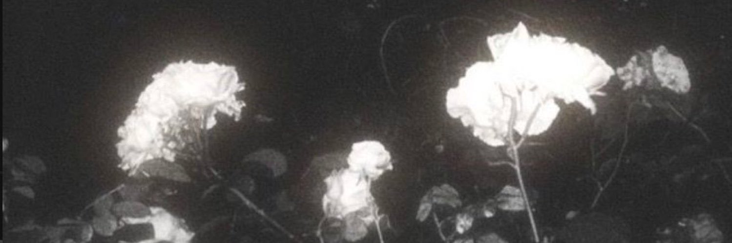 L banner