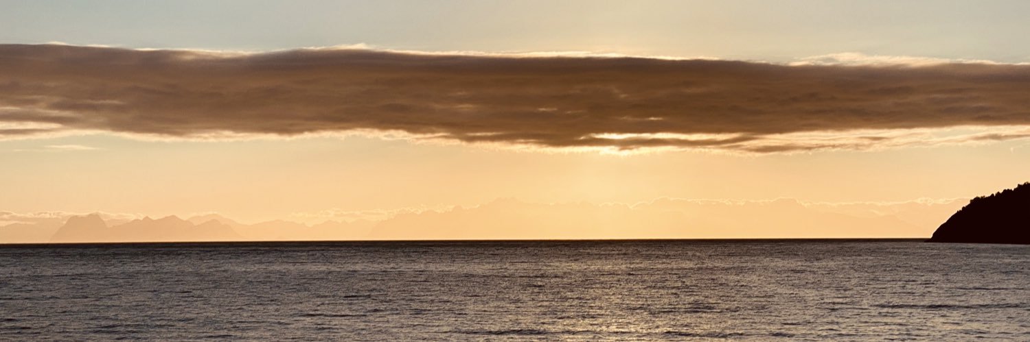LynxAnne's profile banner image