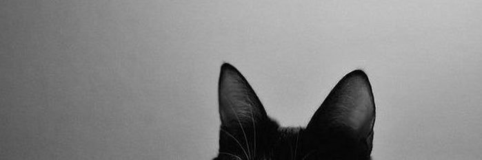 _metous's profile banner image