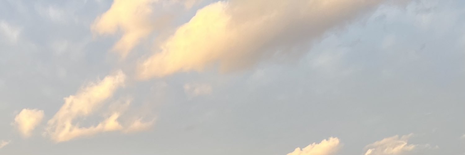 いづな banner