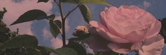 kmuhree_'s profile banner image
