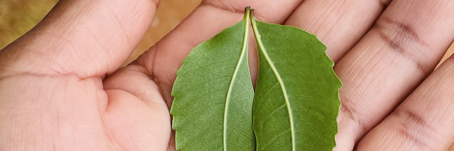 Lyapita Heita banner