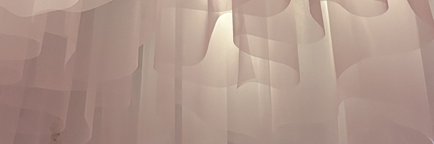 esfpneco's profile banner image