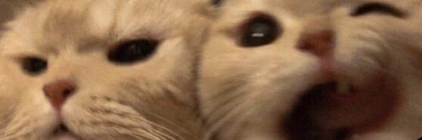 L3ON1X Profile Banner