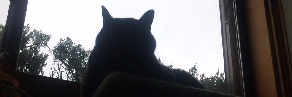 山口よしみ banner