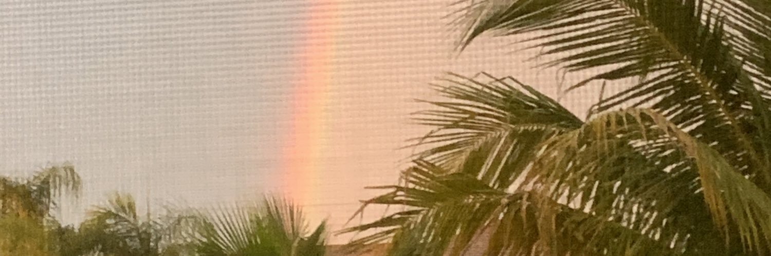 Nancy Ledbetter banner