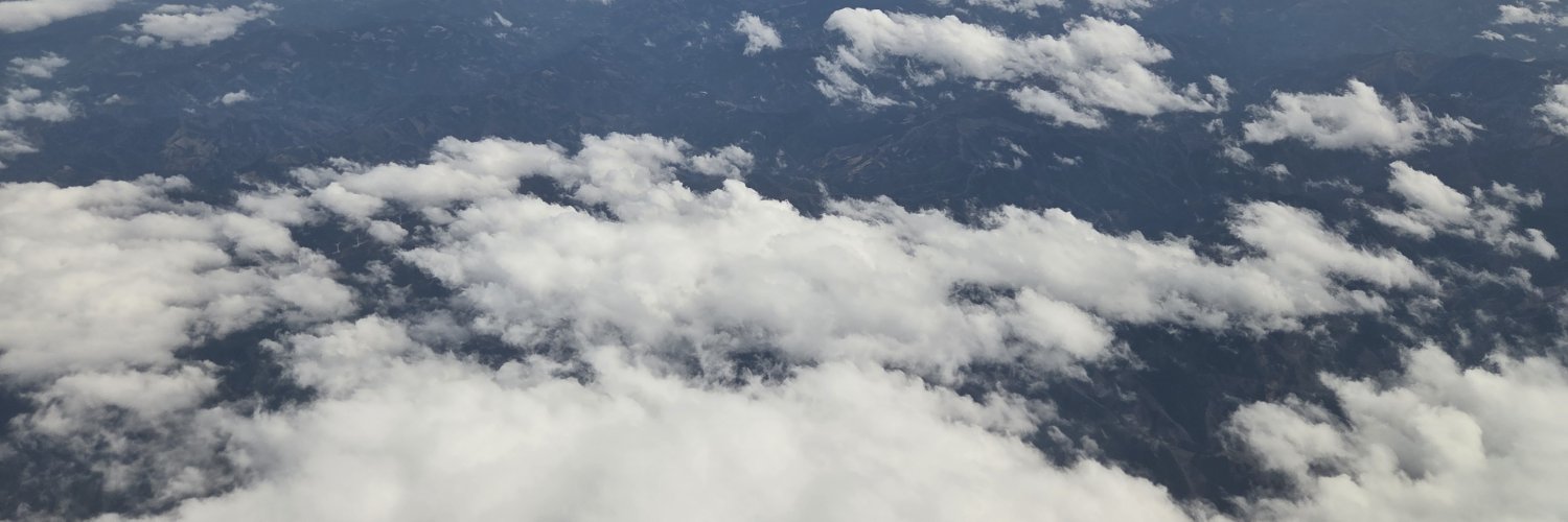 Surprised_frog's profile banner image