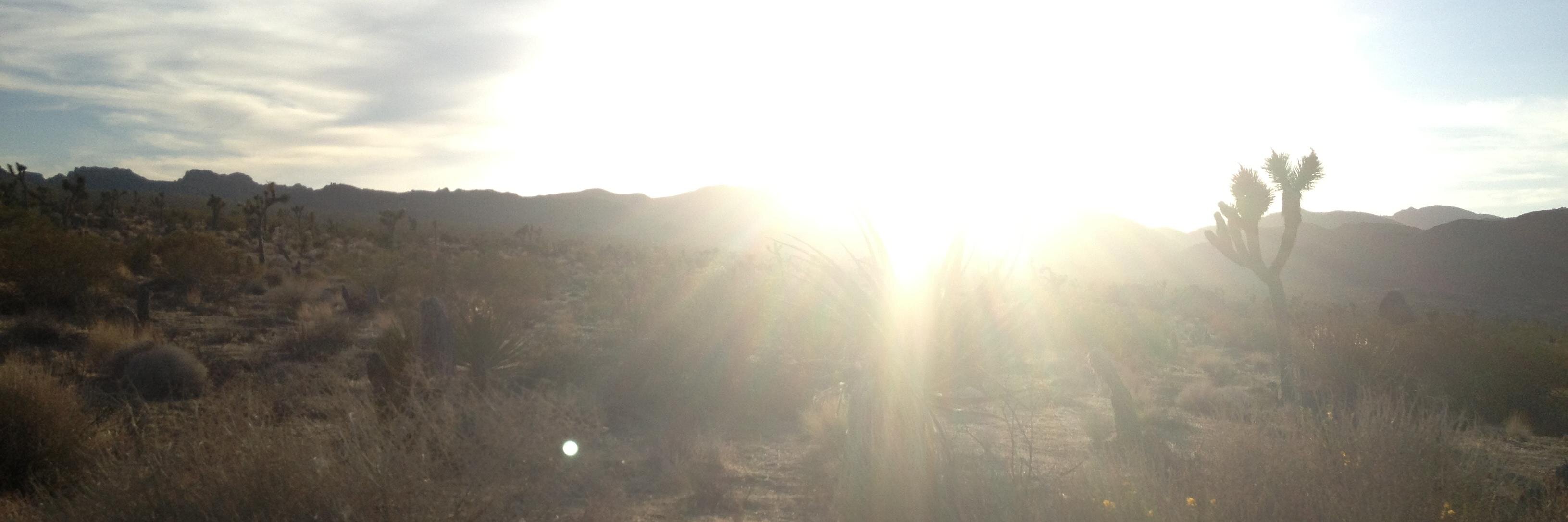 Ganit's profile banner image