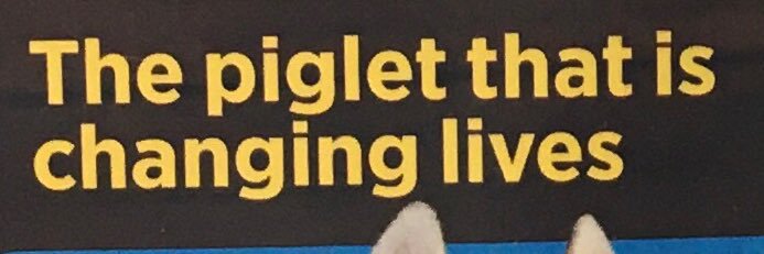 Louisa 🌈👭 banner