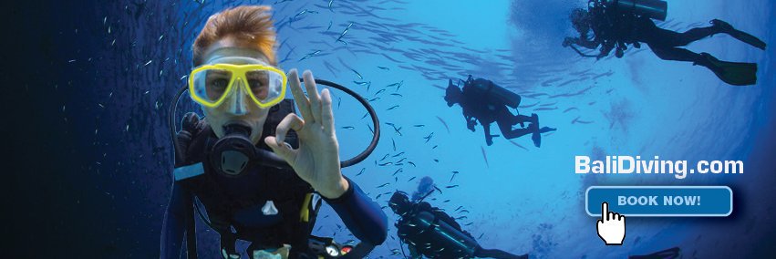 divingbali's profile banner image