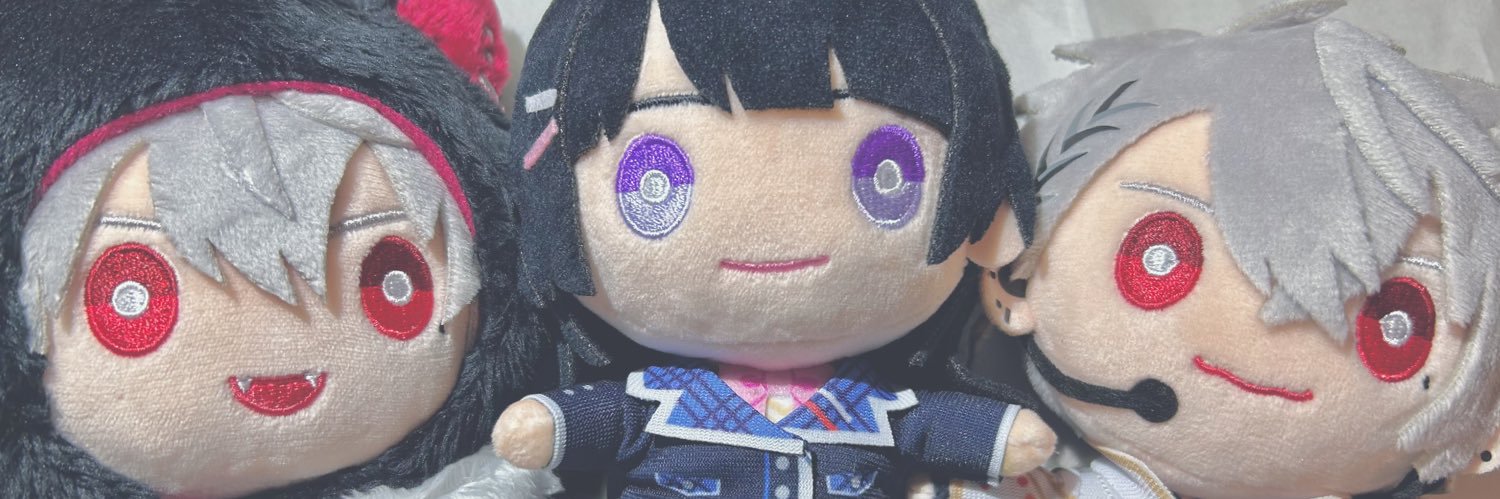N's banner