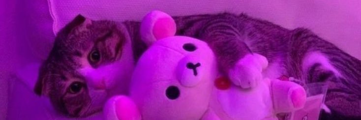emilvrx's profile banner image