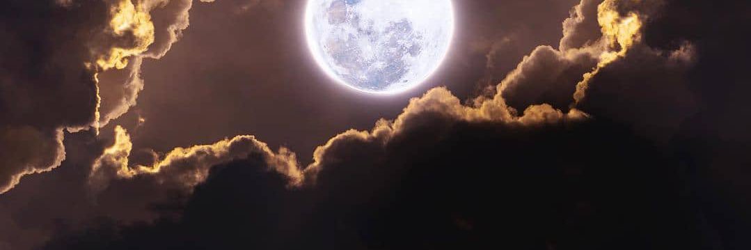 14_nightwalker's profile banner image