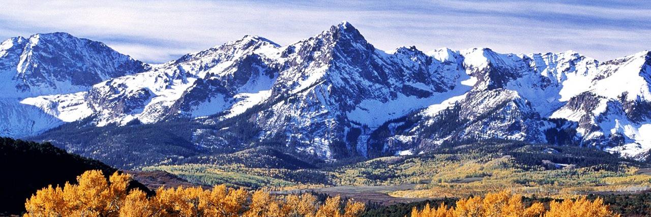 Birddoggin’🇺🇸🇺🇸 banner