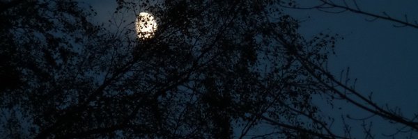 marvafyi Profile Banner