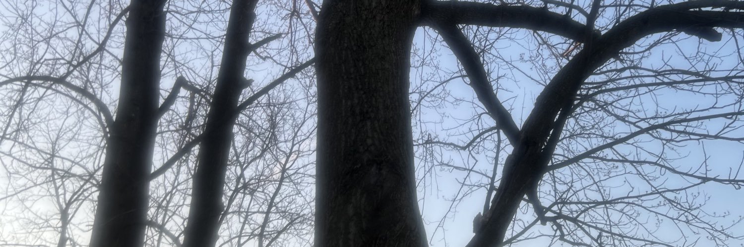 Charlie Sulper banner