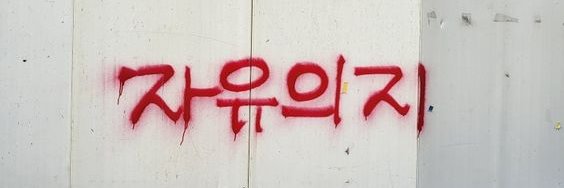 곰's banner