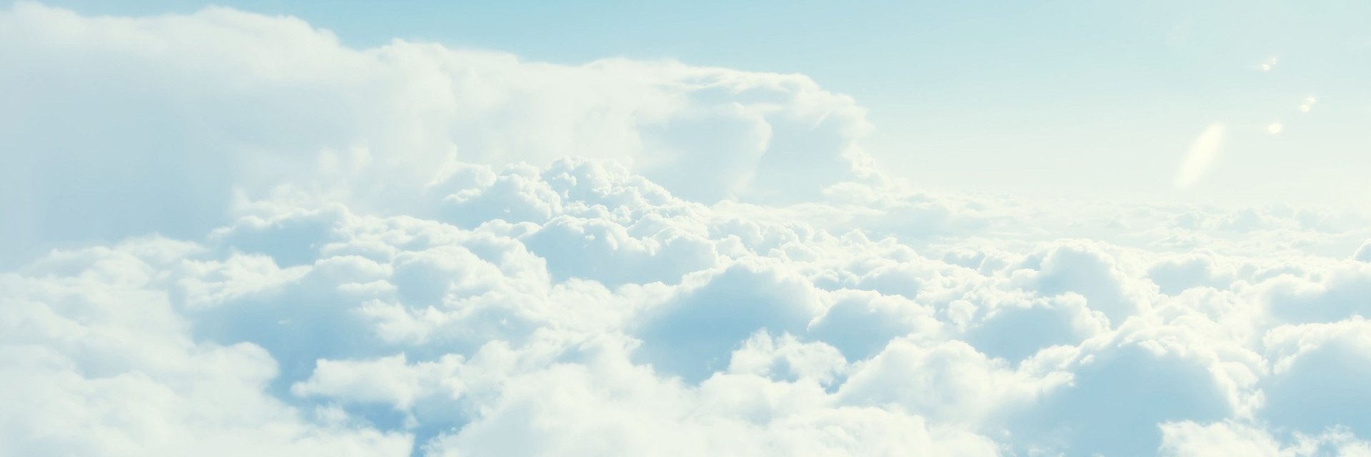 tereWDR's profile banner image