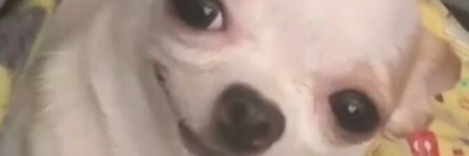 chibichobo_'s profile banner image