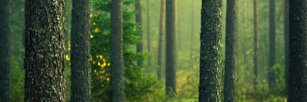 Austin Malherbe ☁️ banner