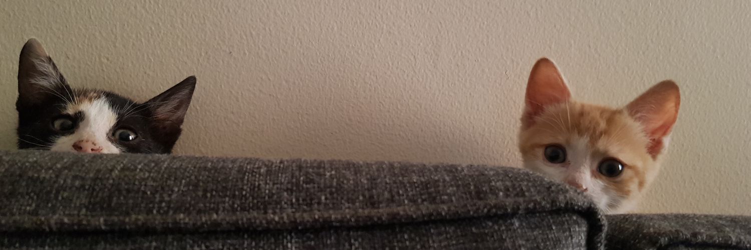khattab96's profile banner image