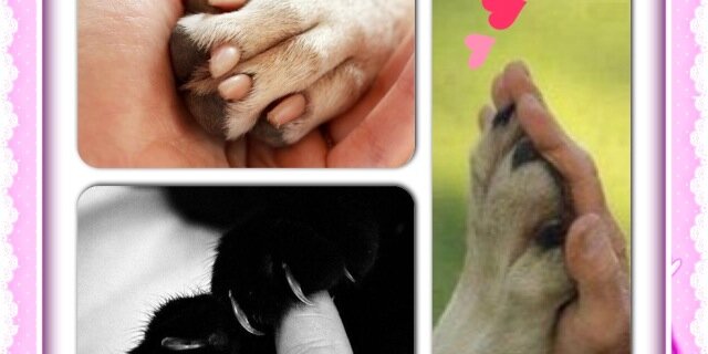 MEHS47's profile banner image