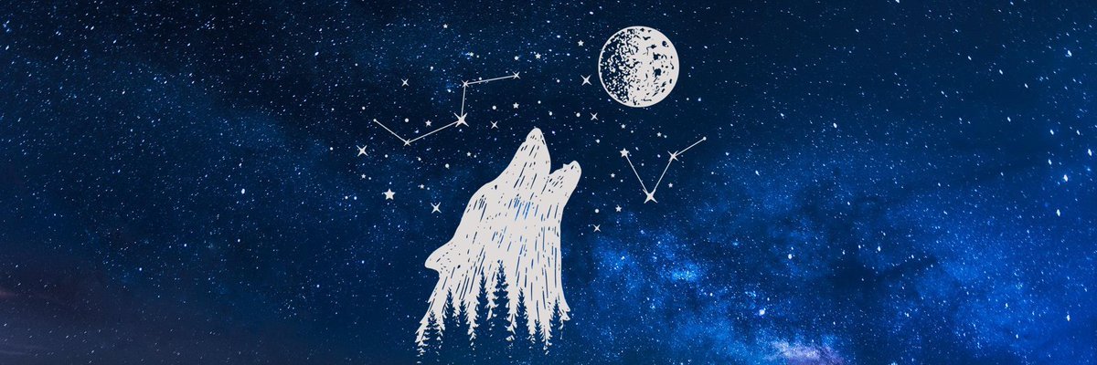 ElectroSnipes's profile banner image