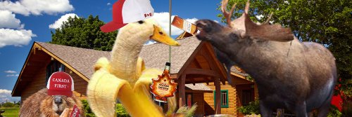 StarvinKanuck banner