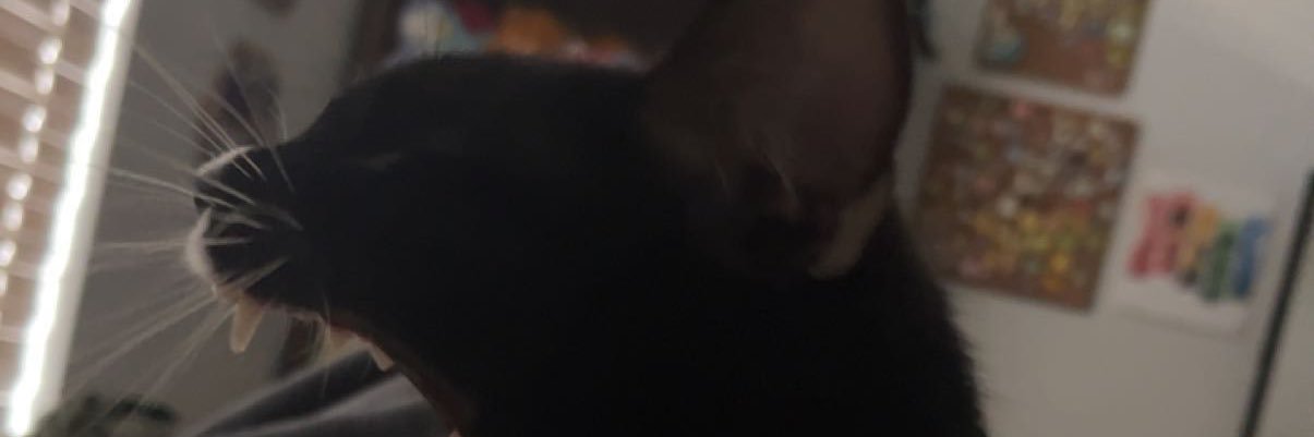 MeaganRenay's profile banner image