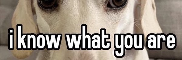 Emsilyyes Profile Banner