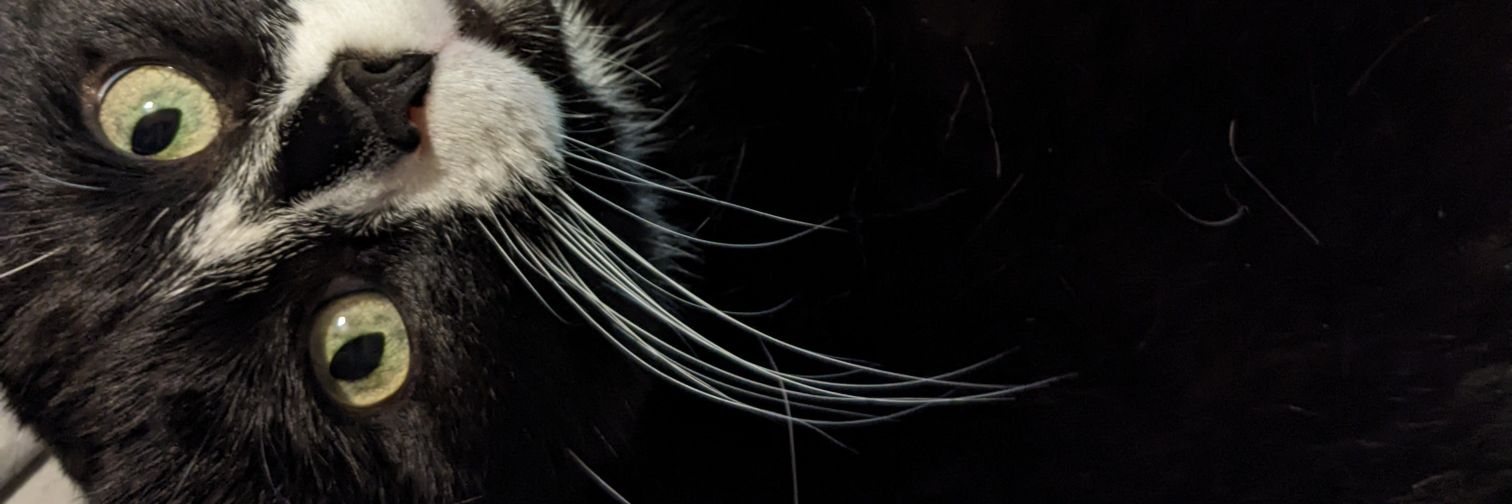 charletron's profile banner image