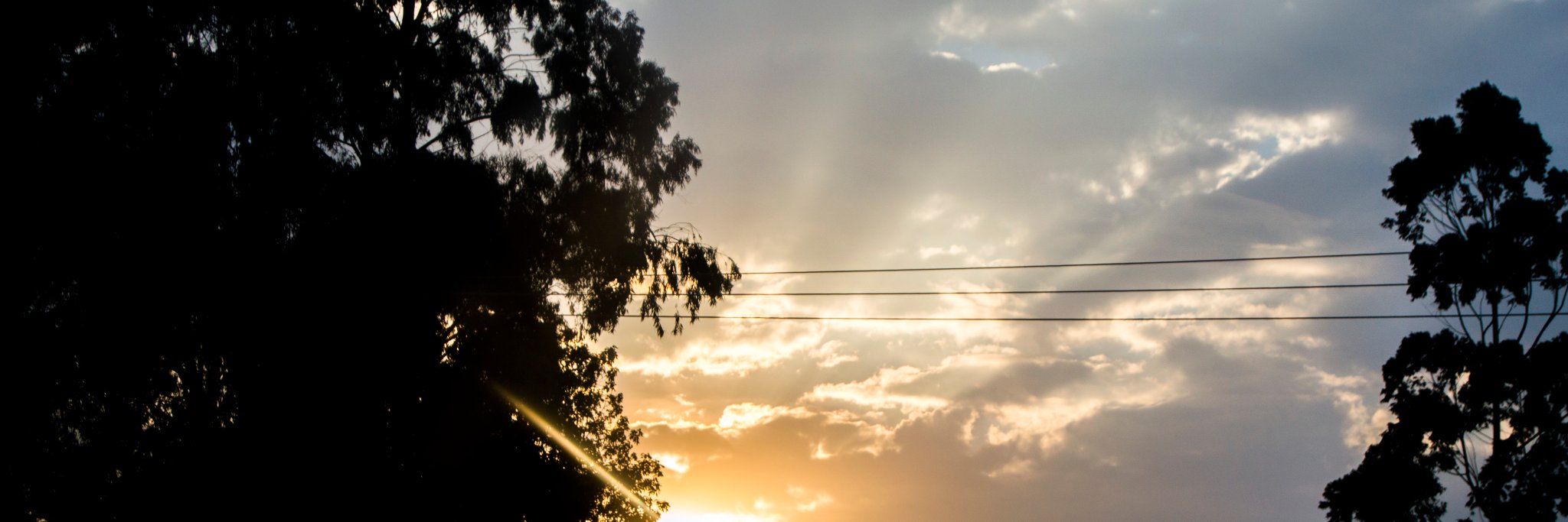 danshutter1's profile banner image