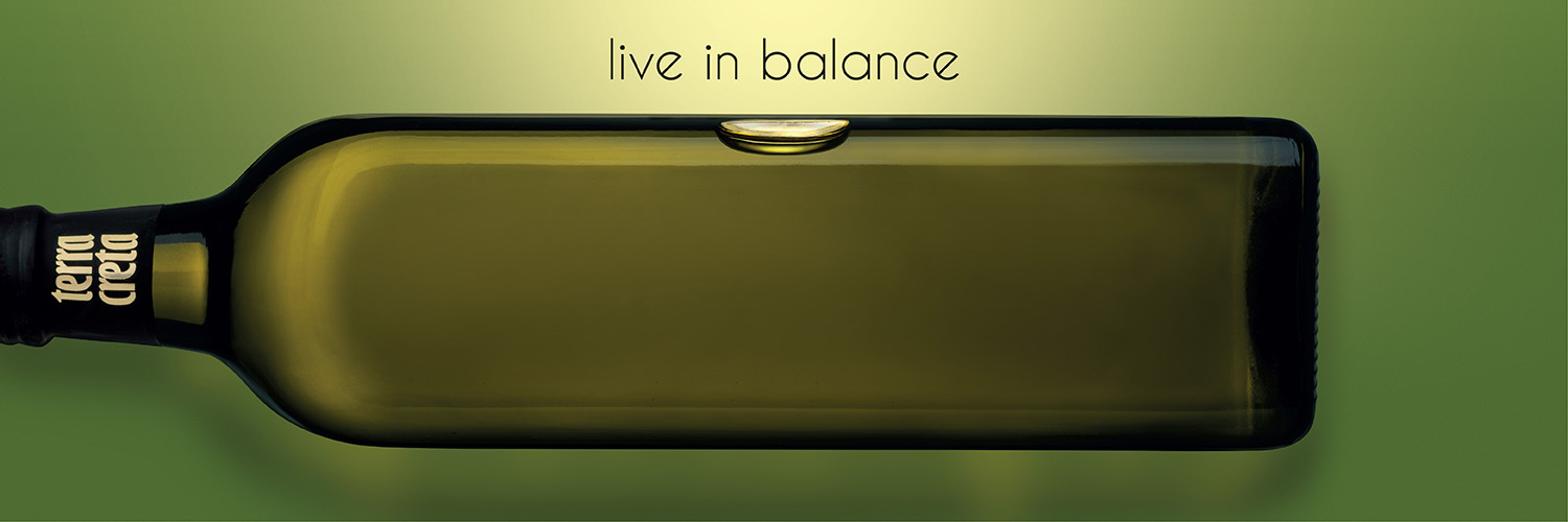 TerraCreta's profile banner image