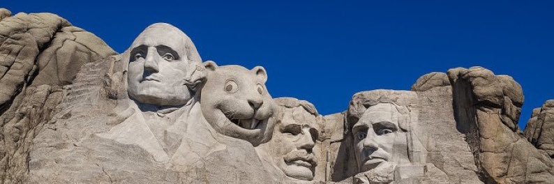 drewski (poop arc)'s banner