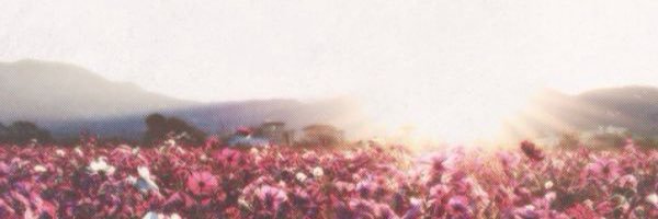 terachelle's profile banner image