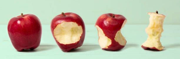 🍎 adam's banner