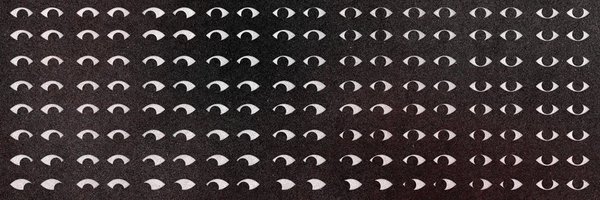 LavieXIV Profile Banner