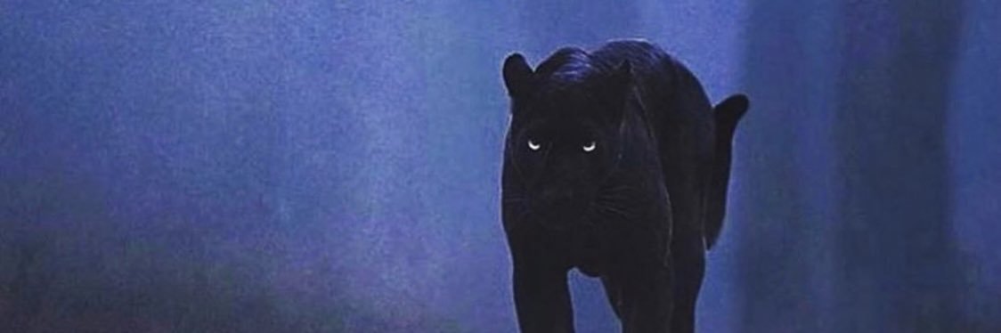 Bobbyrogers_'s profile banner image